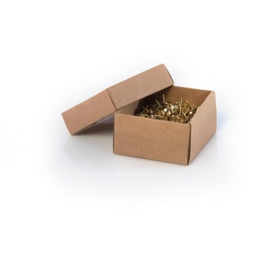 Wallace Box Of 200 Pins  - Gold - Shiraleah