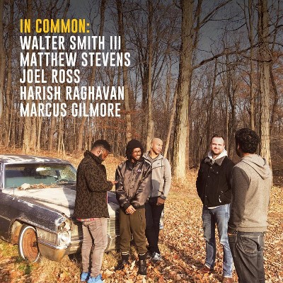 Matthew Stevens - In Common: (CD)