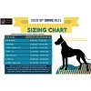 Country Brook Design Martingale Heavyduty Nylon Dog Collar - 2 of 4
