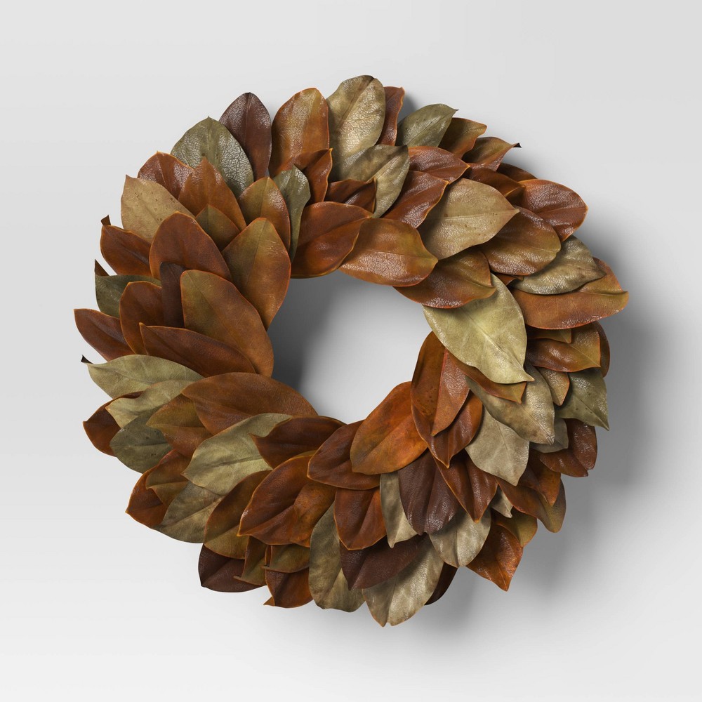 21.25" Magnolia Preserved Wreath Brown - Threshold™