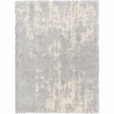 Hauteloom Edzia Gray Plush Area Rug