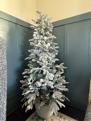 Guest review image 2 of 2, zoom in