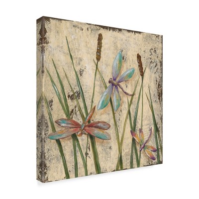 Jade Reynolds Dancing Dragonflies I Outdoor Canvas Art