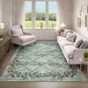 Modern Washable Area Rug for Living Room, Floral Pattern Floor Mat with Non Slip Backing, Low Pile Stain Resistant Lightweight Carpe - 2 of 4