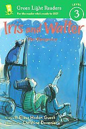 Iris and Walter: The Sleepover - by  Elissa Haden Guest (Paperback)