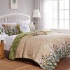 Greenland Home Fashions 2006BKS Dandelion Taupe King Pillow Shams, 20x36 Inches - 3 of 3