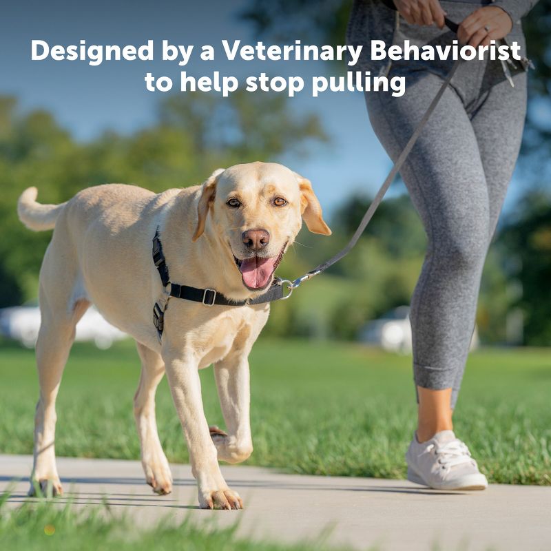 PetSafe Easy Walk Adjustable Dog Harness, 6 of 10