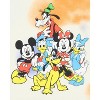 Disney Woman's Retro Mickey and Friends Tie-Dye Cropped Hooded Adult Shirt - 2 of 3