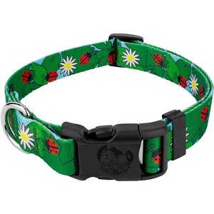 Country Brook Petz Deluxe Dog Collar - Summer Breeze Collection - Made in The U.S.A. - 1 of 4