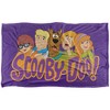 Scooby Doo Scooby and Gang Purple Silky Touch Super Soft Throw Blanket 36" x 58" Scooby Gang - 2 of 4