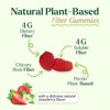 Fiber Gummies for Adults, Daily Prebiotic Fiber Supplement 4g - Digestive Health - 60 Gummies By Nature's Gummies - 3 of 4