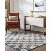 Hauteloom Belita Charcoal Luxe Shag Area Rug - 3 of 4