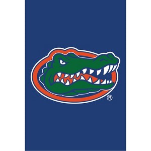 Evergreen NCAA University of Florida Applique House Flag 28 x 44 Inches Outdoor Decor for Homes and Gardens - 1 of 2