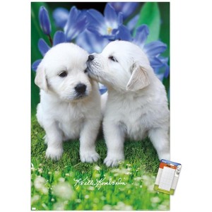 Trends International Keith Kimberlin - White Golden Retriever Puppies Unframed Wall Poster Prints - 1 of 4