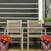 Live 6" Potted Pelee Mum Plant - Spritz™ - 3 of 4