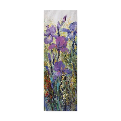 Tim OToole Purple Iris Field Canvas Art