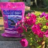 Coast of Maine Bar Harbor Blend Organic Potting Soil for Container Gardens and Flower Pots, 8qt - 3 of 4