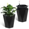 16" Tall Planters Set of 2, Self Watering Plant Pots with Water Level Monitor, Outdoor Planters with Wheels, Indoor Flower Pots, Black - 2 of 4