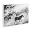Stupell Industries Dusty Road Horse Photograph Wall Plaque Art - 2 of 4
