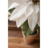 White Poinsettia Artificial Plant in Cement Planter – 18"Tall by Kalalou - 2 of 3