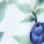 porcealin vine