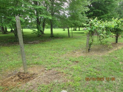 Guest review image 3 of 3, zoom in