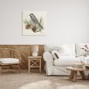Stupell Industries Bird on Pine Tree, 30" x 30" - 2 of 4