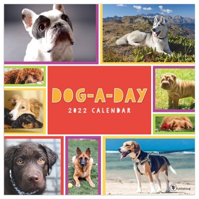 2022 Wall Calendar Dog-A-Day - The Time Factory