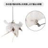 Unique Bargains Handheld Cat Teaser with Bell Fluffy Plume Teasing Sticks White Brown - 2 of 4