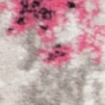 pink/ivory