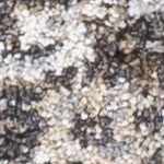 charcoal, dark red, light gray, beige