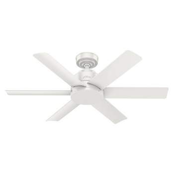 44" Kennicott Damp Rated Ceiling Fan with Wall Control - Hunter Fan