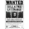 Trends International The Wizarding World: Harry Potter - Bellatrix Wanted Poster Unframed Wall Poster Prints - image 4 of 4