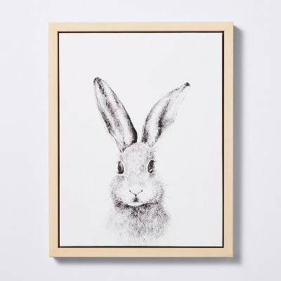 11x14 Framed Canvas Bunny - Cloud Island™