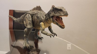 Jurassic World Hammond Collection Giganotosaurus Action Figure : Target