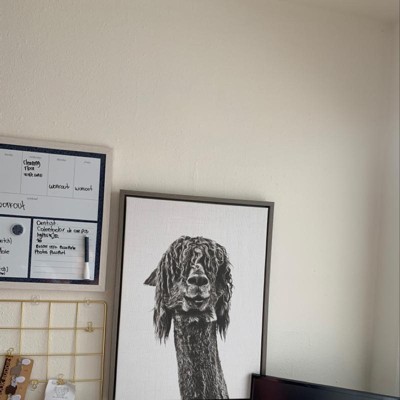 Guest review image 1 of 2, zoom in