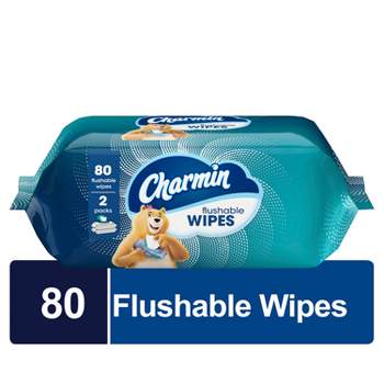 Charmin Flushable Wipes - 2pk/40ct