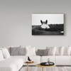 Trademark Fine Art -Aledanda 'Flirt White Horse' Canvas Art - 3 of 3