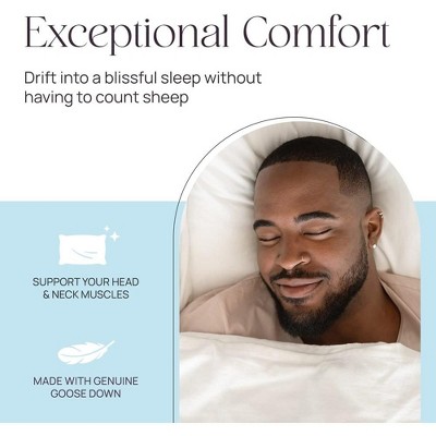 Queen Size White Goose Feather Down Pillow Set of 2