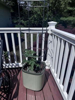 Guest review image 1 of 1, zoom in