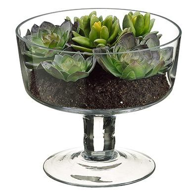 Allstate Floral 6.75" Succulent Garden Artificial Spring Plant in Glass Vase - Clear/Green