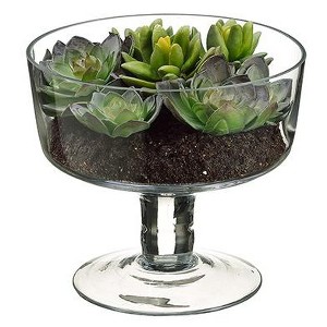 Allstate Floral 6.75" Succulent Garden Artificial Spring Plant in Glass Vase - Clear/Green - 1 of 1