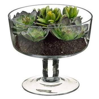 Allstate Floral 6.75" Succulent Garden Artificial Spring Plant in Glass Vase - Clear/Green
