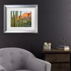 Trademark Fine Art - Alan Majchrowicz Organ Pipe Cactus National Monument Arizona Matted Framed Art - 2 of 4