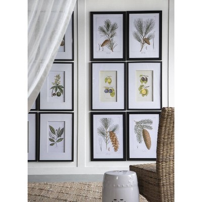Set of 2 Black Framed Botanical Fruit Wall Art