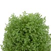 Northlight Artificial Boxwood Cone Topiary Tree with Round Pot - 15" - Unlit - 3 of 4