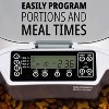 Pawple Automatic Pet Feeder, Cat & Dog Food Dispenser Bowl - 3 of 4
