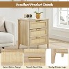 Rattan Nightstand, 3 Rattan Drawers Storage, Black Night Table, Bedside Cabinet with Shelves for Bedroom Living Room - 4 of 4