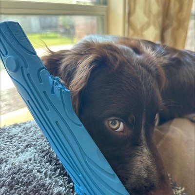 Guest review image 1 of 1, zoom in