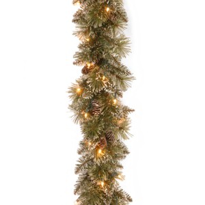 National Tree Company Pre-Lit Artificial Christmas Garland, Green, Glittery Bristle Pine, White Lights, Pine Cones, Frosted Branches, Plug In,9 Feet - 1 of 4